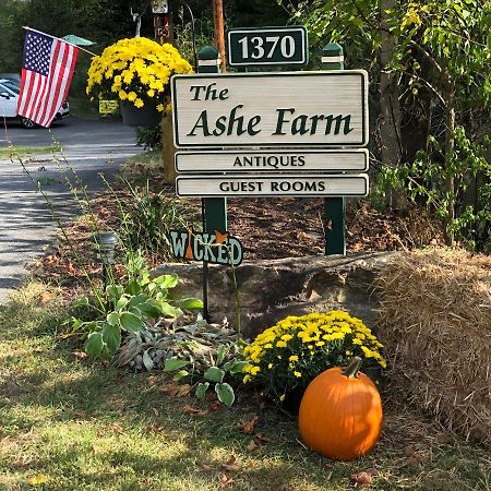 Bed and Breakfast The Ashe Farm Marshall Exterior foto