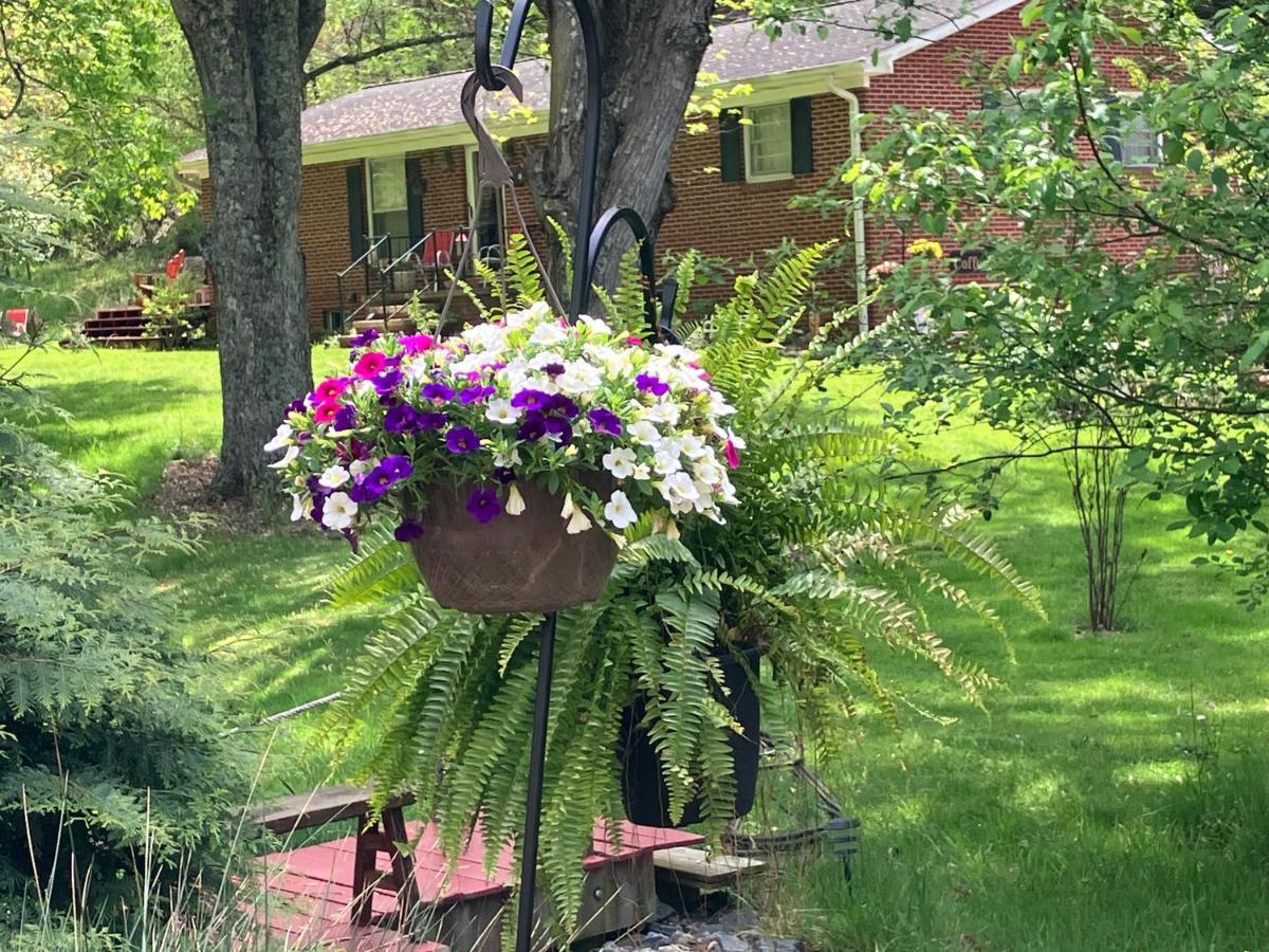 Bed and Breakfast The Ashe Farm Marshall Exterior foto
