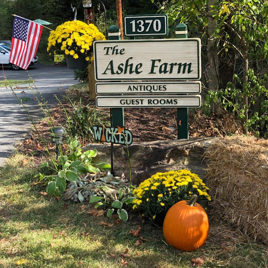 Bed and Breakfast The Ashe Farm Marshall Exterior foto